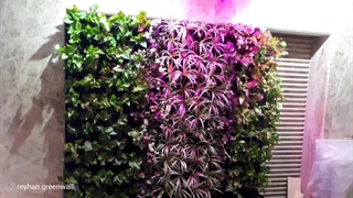 گرین وال طبیعی کافی شاپ - قیمت دیوار سبز 19 #گرین_وال #دیوارسبز