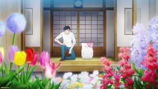 انیمه توله سگ قارچی، کینوکو اینو [Kinokoinu Mushroom Pup] قسمت۶ زیرنویس فارسی