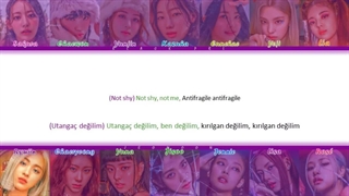 لیریک مشاپ آهنگ‌های ANTIFRAGILE، Pink venom و Not shy از گروه‌های بلک پینک، لسرافیم و ایتزی