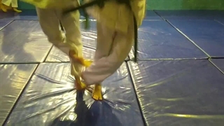 اوچی کومی کره ای