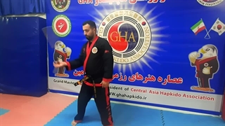 کلیپ سلاح سرد توسط استاد جواد درویشی