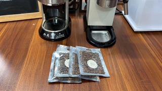 تفاوت ظاهری قهوه روبوستا و عربیکا