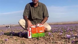 فروشگاه کشاورزی کاتوزا مشهد | سایت بهترین در مشهد