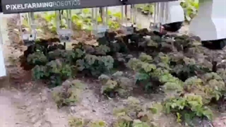 فروشگاه کشاورزی ترنم دشت توس مشهد | سایت بهترین در مشهد