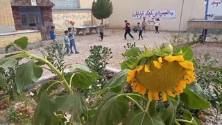 یک جمعه با نوجوانان نیک آباد _ انجمن ادبی فریاد نیکان