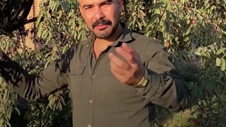 نهال سنجد حاج حسینی