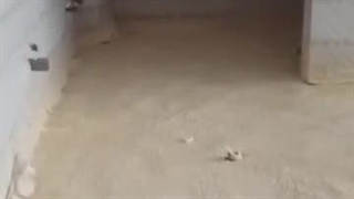 عایق کاری کف انجام شده با فوم پاششی پلی یورتان - شرکت عایق صوتی