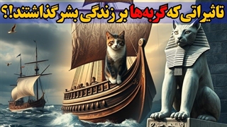 تاریخچه گربه‌ها؛ چگونه گربه‌ها به تمام نقاط جهان راه پیدا کردند!؟