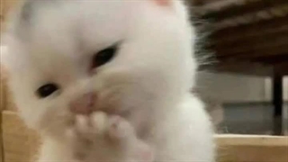 گیلیلیییییی.