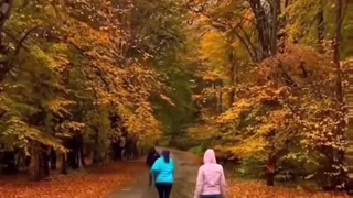 پارک جنگلی النگدره گرگان