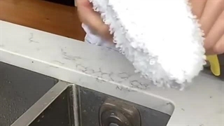 بخارشوی های سری SC کارچر | بانه خرید