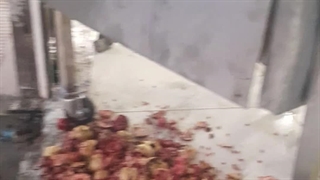 دانه کن صنعتی انار ۰۹۱۳۸۸۰۳۱۰۱