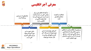 معرفی کامل «آجر انگلیسی» کاربرد و مزایا و معایب آن