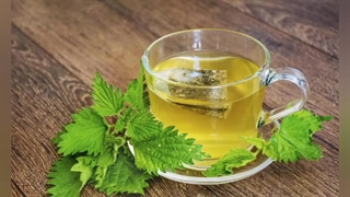 گزنه : پنج خواص شوکه کننده گزنه