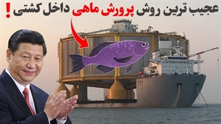عجیب ترین روش پرورش ماهی داخل کشتی!!