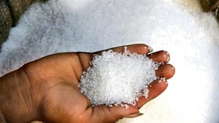 جزئیات احتکار شکر در یکی از شرکت‌های واردکننده