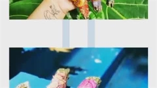 عطاری قناد زادگان ساری