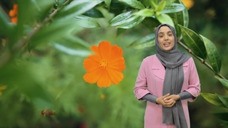 از روز های تعطیل برای خواب بیشتر استفاده نکنید