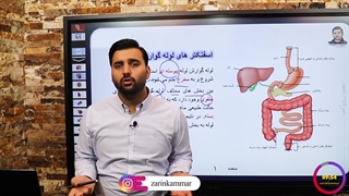 زیست شناسی (اسفنکترهای لوله گوارش)