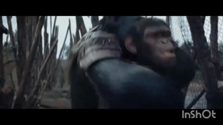 فیلم جذاب پادشاهی میمون ها