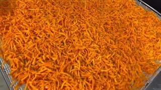 خشک کردن هویج با دستگاه خشک کن صنعتی اسوه 09138900047