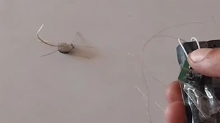 ساخت عقرب رباتی از مخترع کشوری مهردادموسی پور