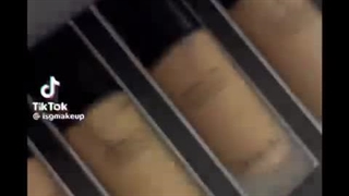 کرم-پودر-شیگلم