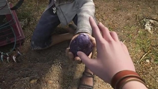 انیمه سفر به غرب فصل۵ قسمت۵۰