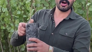 قیمت مناسب نهال پسته