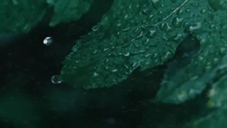 معرفی سری ساعت های جی شاک G-SHOCK GM-2110D SERIES