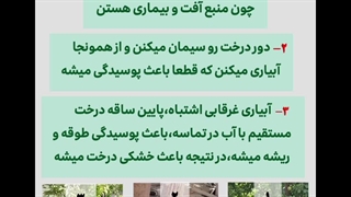 اشتباهات رایج در باغداری 