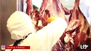 معرفی مجموعه فروشگاهی توانا