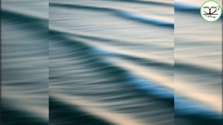 یک سنگریزه، یک اقیانوس