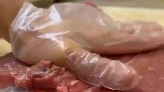 شاورما سید دولت آباد