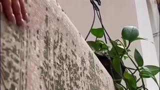 بهترین فرش مینیمال 500 شانه ارزان قیمت در فروشگاه اینترنتی صفافرش