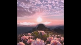 کتاب حق الیقین اثر استاد علی اکبر خانجانی