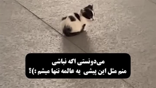 تنهای... تنها..!