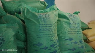 رضایت مشتری