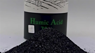 آشنایی با شکل ظاهری هیومیک اسید پرک #آموزش_کشاورزی #کود_کشاورزی
