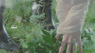 ترک های آلبوم ایزنا مشخص شد‌.