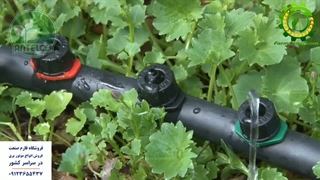 قطره چکان آنتلکو - فارم صنعت