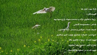 دکلمه زیبا و ماندگار شاه بیت غزل ها با صدای رزیتا دغلاوی نژاد و محمدجواد زارع مهذبیه