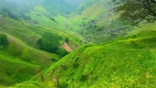 " ɪ ɴᴇᴇᴅ ꜱᴜᴄʜ ᴀ ᴘʟᴀᴄᴇ ᴛᴏ ᴡᴀʟᴋ "