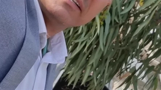 ابطال دعا ، جادو ، طلسم شیطان