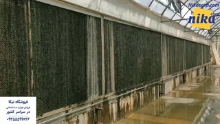 پد سلولزی گلخانه - نیکاکورپ