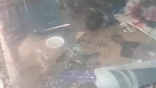 فروش آفتابگیر تبلیغاتی ماشین ۰۹۱۲۴۵۸۱۰۶۷