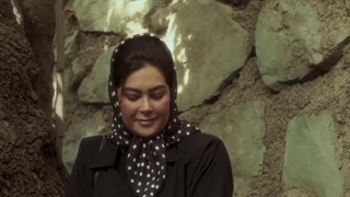 فیلم «سال گربه»