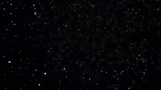 ✬