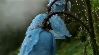 پیج اینستاگرام افتتاح شد