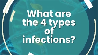 Take Azicip 500mg (Azithromycin) to treat bacterial infections